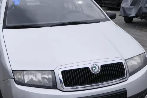 Skoda Fabia 6Y Motorhaube KLappe vorne silber grau LF7T + Grill (158337)