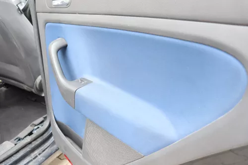 VW Golf Plus 5M 4x Türverkleidung Verkleidung Tür vorn hinten links blau (158863)