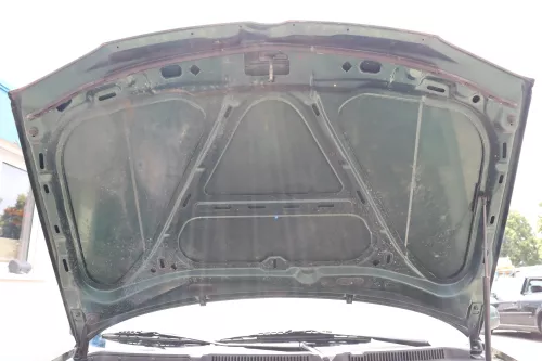 VW Golf 4 Motorhaube Haube Klappe vorne grün LC6M Frontklappe brightgreen c (158907)