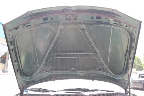 VW Golf 4 Motorhaube Haube Klappe vorne grün LC6M Frontklappe brightgreen c (158907)