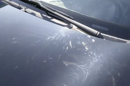 VW Lupo 6X 6E  Motorhaube Klappe Frontklappe Haube vorne schwarz L041 uni f (159827)