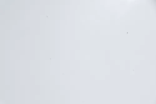 VW Sharan 7M Motorhaube Klappe Haube vorn vorne silber LB7Z abca.Bj2000passend (160057)