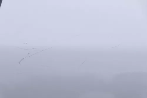 Audi A4 B5 Tür Türblatt hinten links grau silber LY7M Kombi Limo (160169)