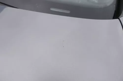 VW Golf 5 V 1K Kombi Jetta Motorhaube Haube Klappe vorne grau LA7T - Mängel (160305)