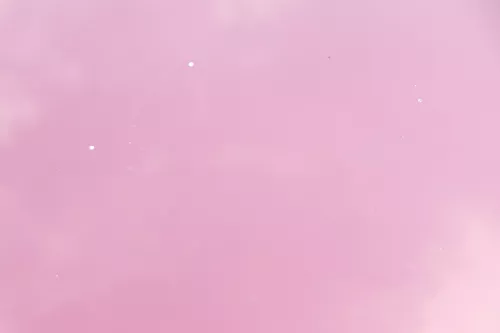 Audi A4 B5 Motorhaube Haube Klappe vorne rot braun LZ3L bis ca. Bj. 1999 (160320)