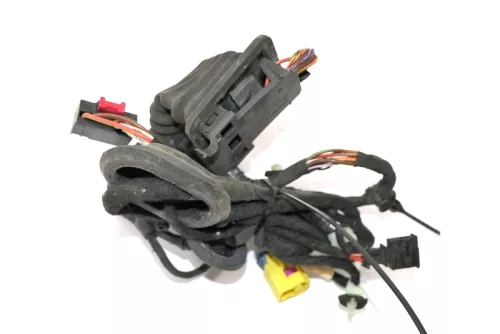 VW Passat 3C Kabelbaum Tür Türkabelbaum ZV vorne rechts Leitungssatz 3C1971121BN (160357)