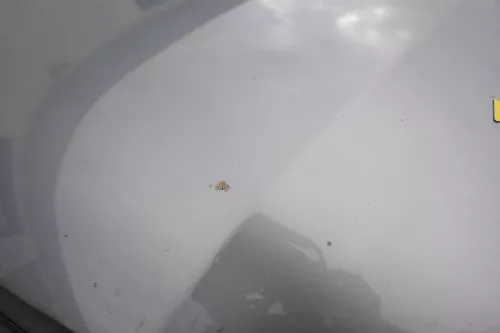 VW Passat 3BG Motorhaube Klappe vorne vorn Haube grau LD7W urbangrey grey ds (160469)