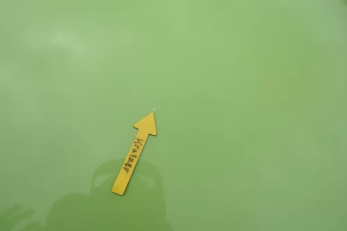 VW Lupo Motorhaube KLappe vorne grün LR6A (160626)