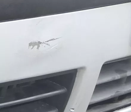 VW Golf 4 1J Stoßstange vorne Stoßfänger vorn silber grsau LA7W Frontstoßstange (162038)