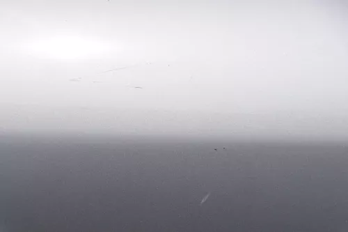 Audi A4 B5 Tür nur Türblatt hinten links grau silber LY7W - Facelift (162131)