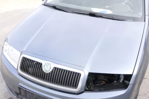 Skoda Fabia 6Y Motorhaube Klappe vorne grau LF7V mit Grill vorn (162150)
