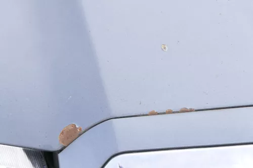 Skoda Fabia 6Y Motorhaube Klappe vorne grau LF7V mit Grill vorn (162150)