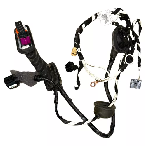 VW Amarok 2H Kabelbaum Tür Türkabelbaum ZV vorne rechts Leitungssatz 2H5971121AK