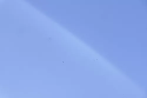 VW Passat 3BG Motorhaube Klappe vorne vorn Haube silber LA7W reflexsilber 162985 (162985)