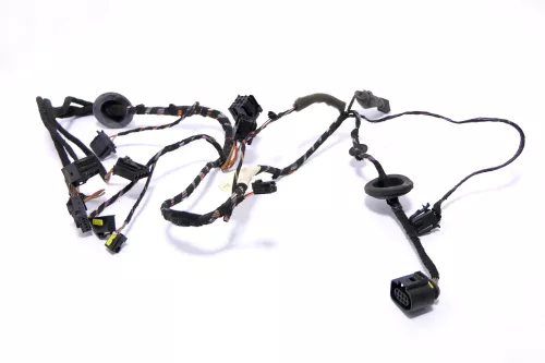 VW Polo 9N Kabelbaum Tür Türkabelbaum ZV vorne links Leitungssatz 6Q0971125P (163807)