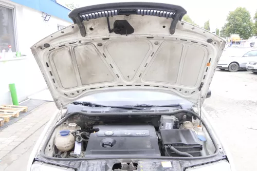 Fabia 6Y Abdeckung Windlauf Verkleidung Wischer Wasserkasten Wasserabweiser (164177)