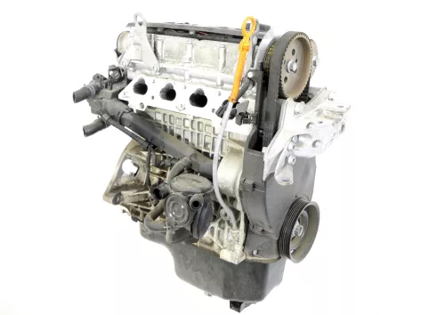 Caddy 3 Golf 5 Motor CGGA CGGB 1,4 16V 59kw 80PS (ohneAnbauteile) 130.000km BXW (164389)