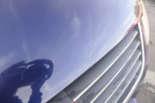 VW Passat 3BG Motorhaube Klappe vorne vorn Haube blau LB5N indigoblau (164991)