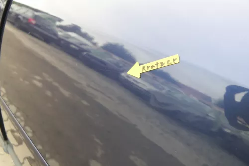 Audi A6 4B C5 Tür Türblatt hinten links blau LZ5T nur Türblatt (165071)