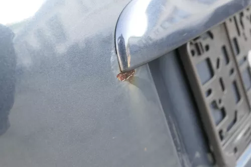 Skoda Octavia 1U Heckklappe hinten Kofferraumklappe grau LF7S L8L8 Limousine (165189)