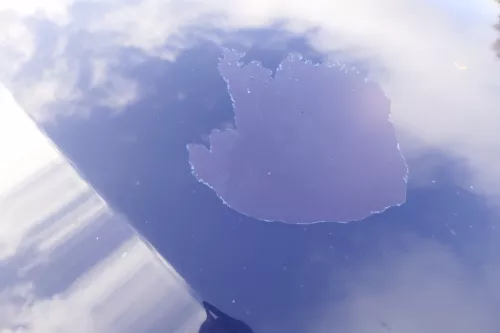 VW Passat 3BG Motorhaube Klappe vorne vorn Haube blau LA5E (165227)