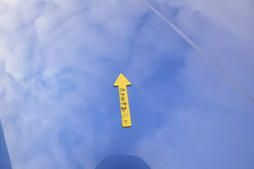 VW Golf 4 Motorhaube Haube Klappe vorne blau LW5Y (165315)