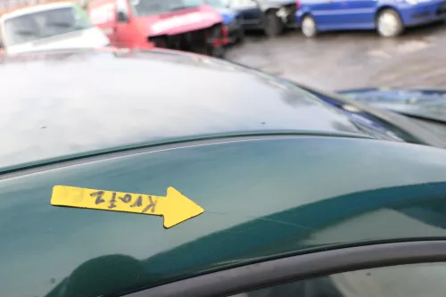 VW Golf 4 Bora Tür vorne rechts Beifahrertür 4/5-Türer+Kombi Variant grün LC6M (165599)