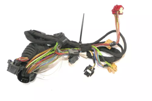 Audi A6 4B Kabelbaum Tür Türkabelbaum ZV vorne links 4B0971029E 4B0971029B (165986)