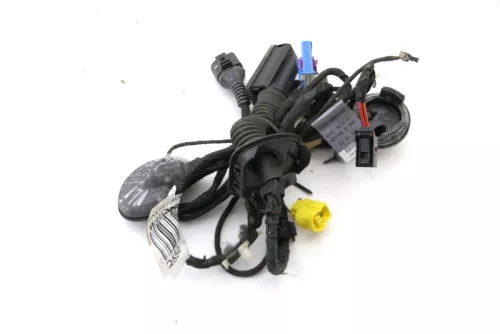 Audi 8K A4 Kabelbaum Tür Türkabelbaum ZV vorne links 8K0971029AB