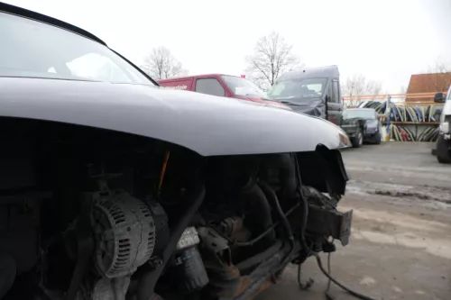 VW Golf 4 Cabrio 1E Motorhaube Haube Klappe vorne schwarz LC9Z (166756)