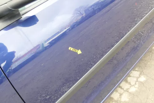 VW Polo 9N 9N3 Tür vorne links Fahrertür 2/3-Türer blau LB5N ohneAnbautei (167549)