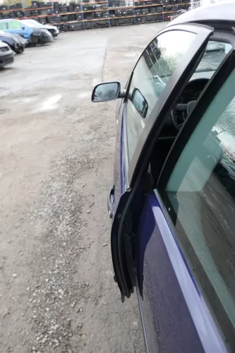 VW Polo 9N 9N3 Tür vorne links Fahrertür 2/3-Türer blau LB5N ohneAnbautei (167549)