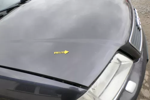 Audi A6 4B Motorhaube Klappe vorn (bis ca. Ende 2001) blau lila LZ4V (167790)