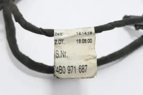 Audi A6 4B Kabelbaum Tür Türkabelbaum ZV hinten links oder rechts 4B0971687 (167915)