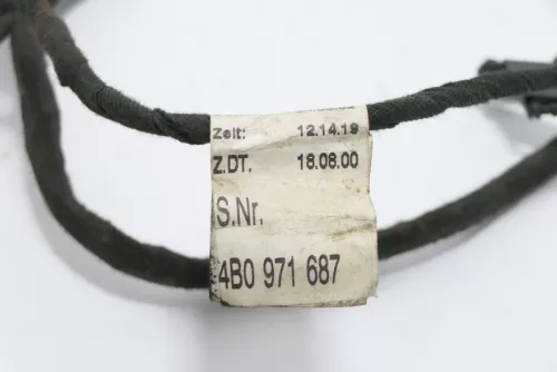 Audi A6 4B Kabelbaum Tür Türkabelbaum ZV hinten links oder rechts 4B0971687 (167915)