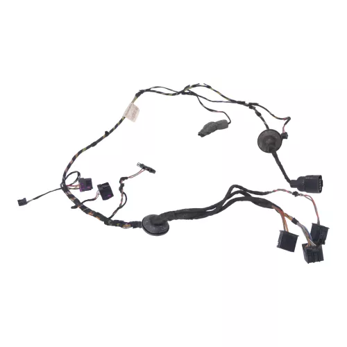 VW Polo 9N Kabelbaum Tür Türkabelbaum ZV vorne links Leitungssatz 6Q0971125C