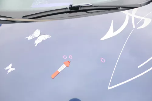 VW New Beetle 9C Motorhaube Klappe vorne blau lila LG5T (168407)