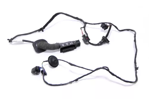 Seat Ibiza 6J 4/5-Türer Kabelbaum Tür Türkabelbaum ZV vorne rechts 6J4971121H (168940)