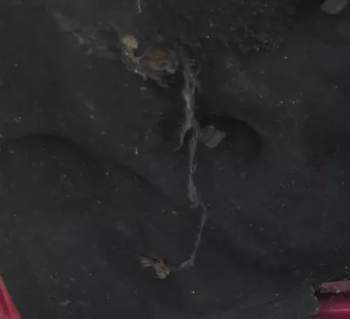 VW Caddy Polo Kombi Dämpfung Motorhaube Dämmung Motorhaubendämmung TDI Dämmmatte (169784)