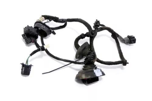 Audi A3 8P 2/3-Türer Kabelbaum Tür Türkabelbaum ZV vorne links 8P3971029AA (170799)