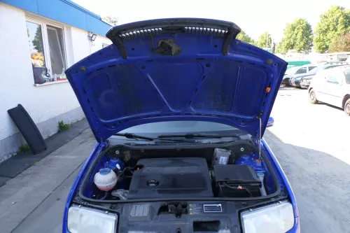 Skoda Fabia 6Y Motorhaube Klappe vorne blau LF5K vorn     (OHNEgrill!) (170896)