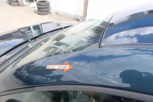 VW Golf 4 Bora Tür vorne links Fahrertür 4/5-Türer Kombi Variant grün LC6X (171221)