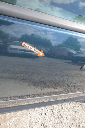 VW Golf 4 Bora Tür vorne links Fahrertür 4/5-Türer Kombi Variant grün LC6X (171221)