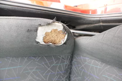 VW Polo 6N 6N2 Seat Ibiza 6K Golf 3 Sitz vorne links Fahrersitz 4/5-Türer (171487)