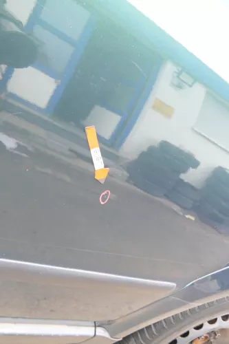 VW Passat 3B 3BG Limousine Tür hinten links grün LC6N (171973)