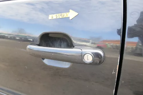 VW Polo 6N 6N2 Tür vorne links Fahrertür 2/3-Türer schwarz LC9Z- ohne Anbauteile (173149)