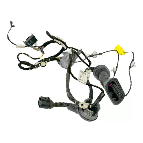 Audi A6 4F Kabelbaum Tür Türkabelbaum ZV vorme links Fahrertür 4F1971029AC /AE (174271)