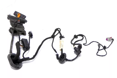 VW Passat 3C Kabelbaum Tür Türkabelbaum ZV hinten links 3C4971693GG /FS (174357)