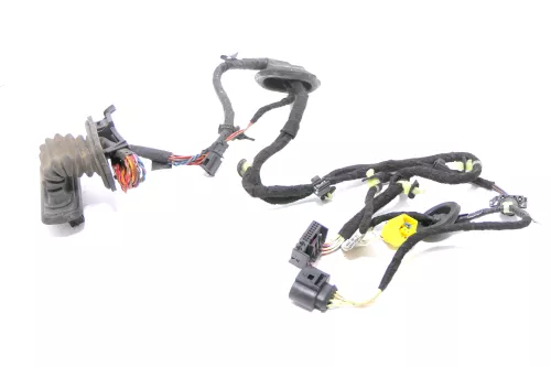 Passat 3C Kabelbaum Tür Türkabelbaum ZV vorne links Leitungssatz 3c1971120EF /FB