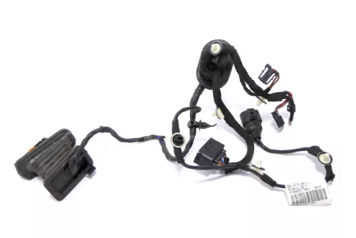 VW Golf 5 Kombi Variant Kabelbaum Tür Türkabelbaum ZV hinten links 1K9971693R (174371)